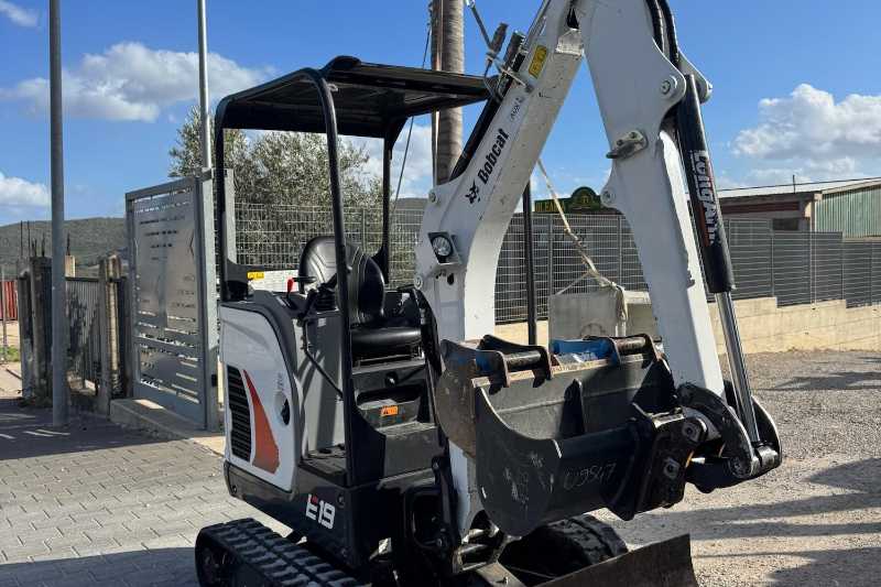 OmecoHub - Immagine BOBCAT E19